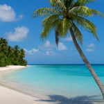Tropical beach on Lucipara Islands with palm trees, turquoise water, and white sand under blue sky