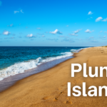 Plum Island beach with ocean waves, golden sand, and blue sky on a sunny day”