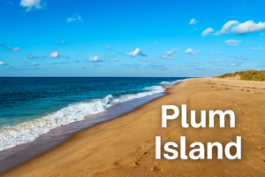 Plum Island beach with ocean waves, golden sand, and blue sky on a sunny day”